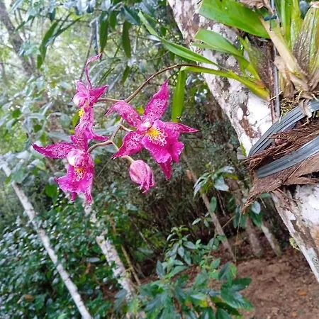 Casa De Campo Banheira, Lareira E Cachoeira Pedra Azul  Exterior photo