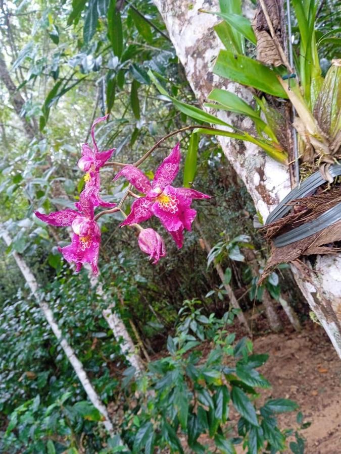 Holiday home Banheira, Lareira E Cachoeira